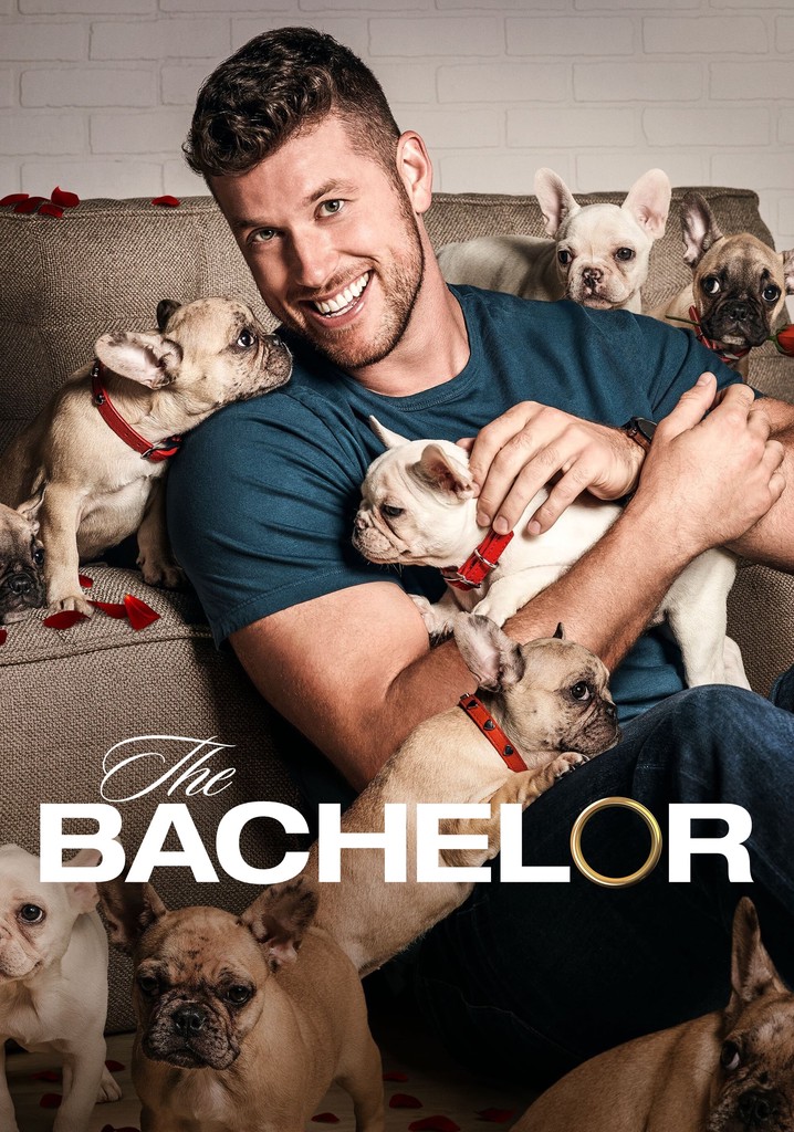 The Bachelor Season 26 - watch full episodes streaming online